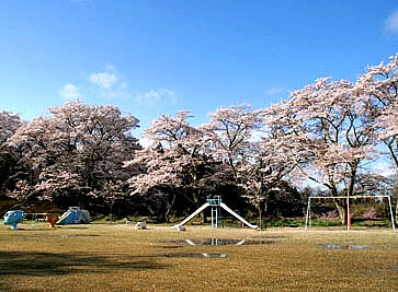 城山公園（茂木）