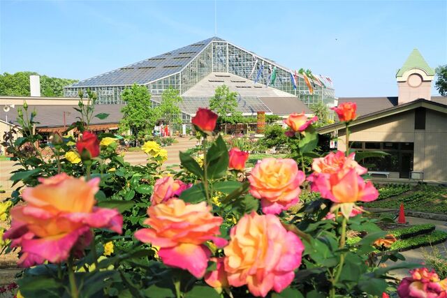 とちぎ花センター