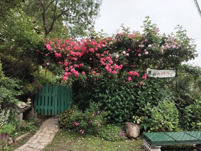 里山のバラ園