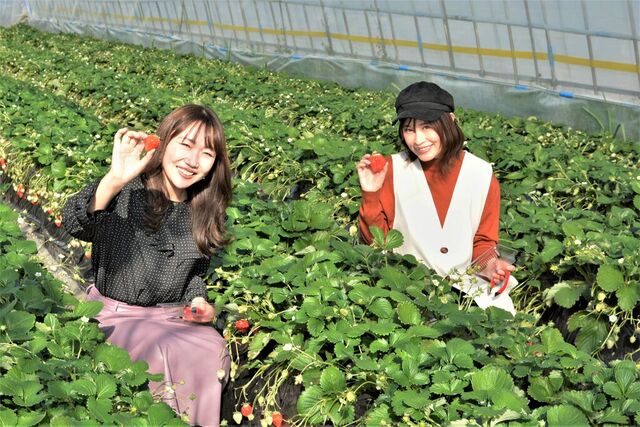 出会いの森いちご園