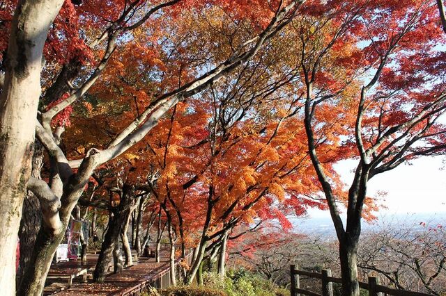 太平山県立自然公園