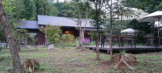 うどん カフェ　何時も庵