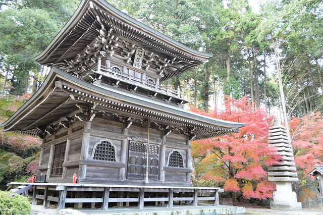 名越大本山圓通寺