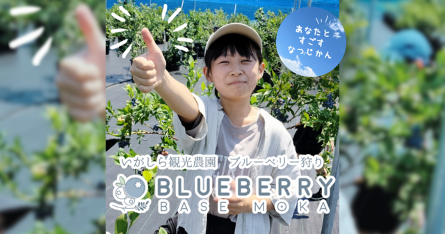 BLUEBERRY BASE MOKA