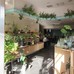 Cafe FUJINUMA TERMINAL店