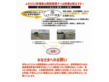 ムラスズメ会場アクセス 無料巡回バスのご案内