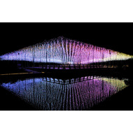 光のふじのはな物語