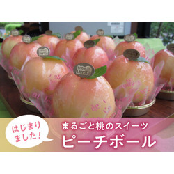 アントル・ヴェリテ