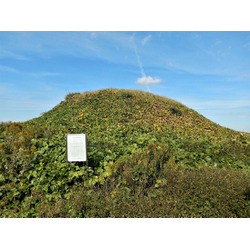 山王寺大枡塚古墳