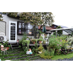 ランチ・カフェ はなの詩