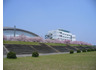 白鴎大学大行寺キャンパス東側 思川桜並木