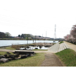 大沼親水公園(大沼ため池)
