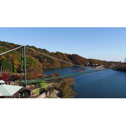 森林の駅／もみじ谷大吊橋