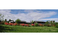 いわむらかずお 絵本の丘美術館 ティールーム