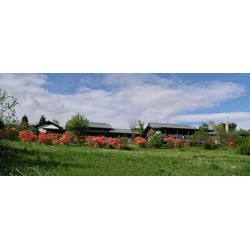 いわむらかずお 絵本の丘美術館