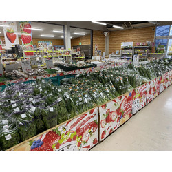 佐野観光農園 アグリタウン