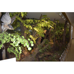 芳村野鳥自然博物館