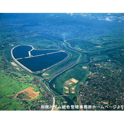 渡良瀬遊水地