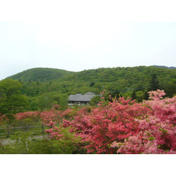 山の駅たかはら