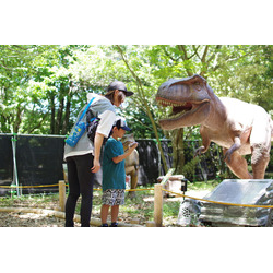 とちぎわんぱく公園