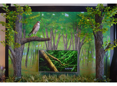 道の駅サシバの里 いちかい