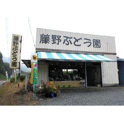 藤野ぶどう園