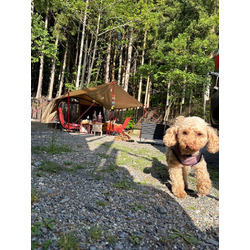 オーキャン宝島