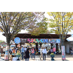道の駅うつのみや ろまんちっく村