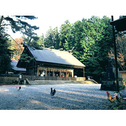 乃木神社