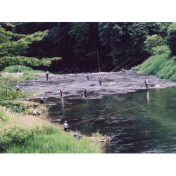 大芦川
