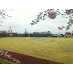 栃木市つがスポーツ公園運動場