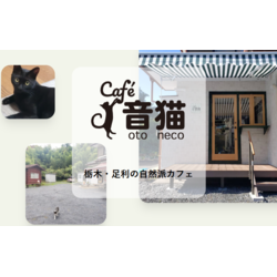 Cafe 音猫