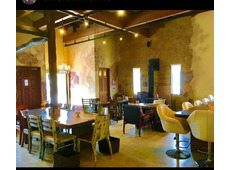 器カフェ アンモナイト