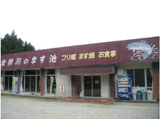 金精川のます池