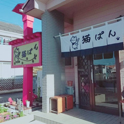猫ぱん