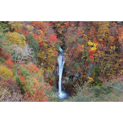 駒止の滝