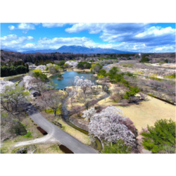 鳥野目河川公園オートキャンプ場