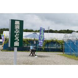 黒須学ぶどう園