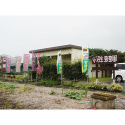 沼生葡萄園