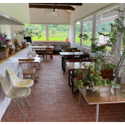 Lighten up and Switch 136