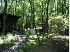 小さな緑のインテリア 苔屋