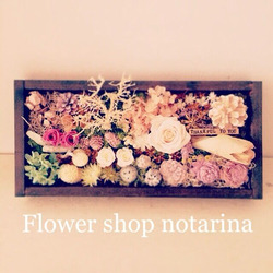Flower shop notarina