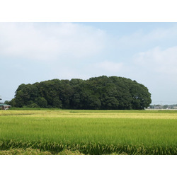 笹塚古墳