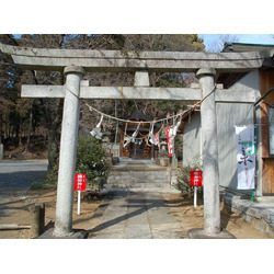 賀茂別雷神社
