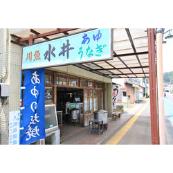 川魚水井