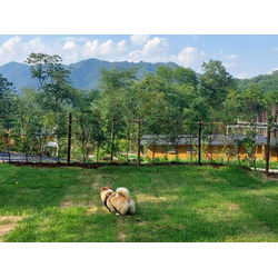 WoodPAL飛駒 オートキャンプ場