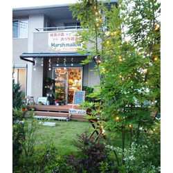 marsh mallow マシュマロウ