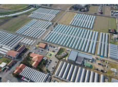 スローライフリゾート いちごの里