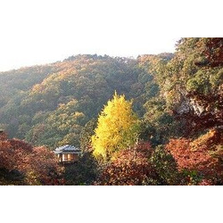 行道山浄因寺