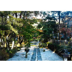 韓国料理・焼肉 春香伝